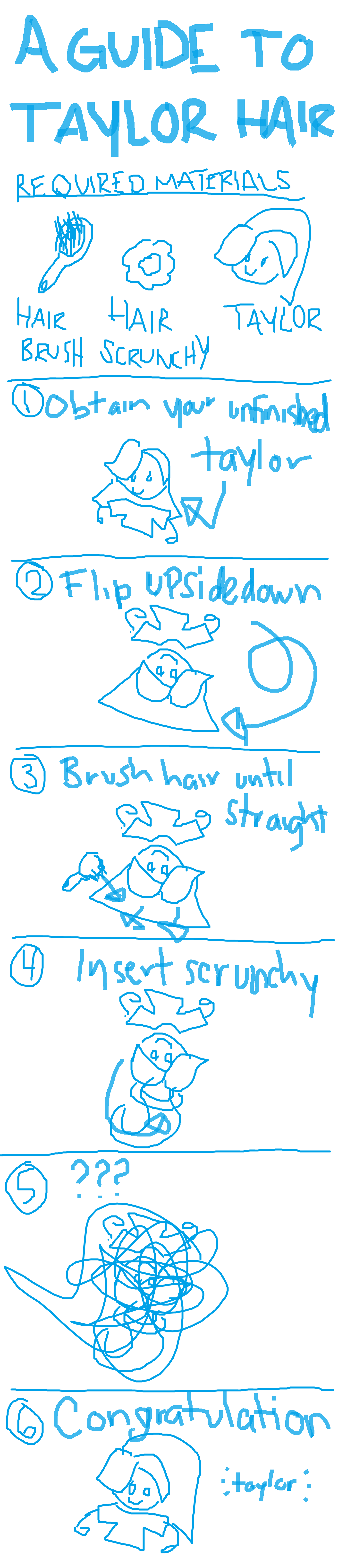 PANEL 1: A Guide to Taylor Hair. Materials Required: Hair Brush, Scrunchie, Taylor. PANEL 2: Step 1 Obtain your unfinished Taylor, who will have their hair down and look extremely scary and unnatural. PANEL 3: Step 2 Flip Taylor upsidedown. PANEL 4: Step 3 Brush hair until straight while they are upside down. PANEL 5: Step 4 Insert scrunchie into Hair. PANEL 6: Step 5 SOMETHING HAPPENS. PANEL 7: Step 6 Congratulations. Taylor is born today. END COMIC.